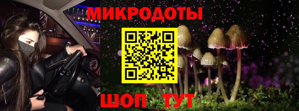Галлюциногенные грибы Cubensis Чайковский
