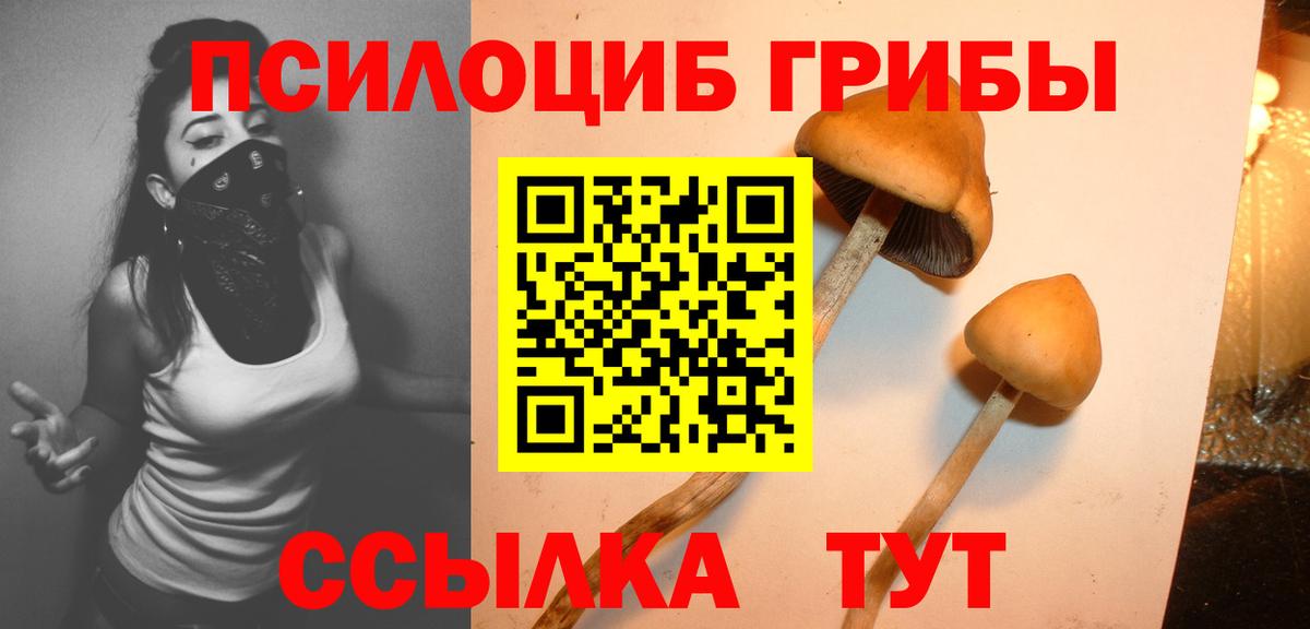 Чайковский  Галлюциногенные грибы Psilocybine cubensis  Вход с VPN 